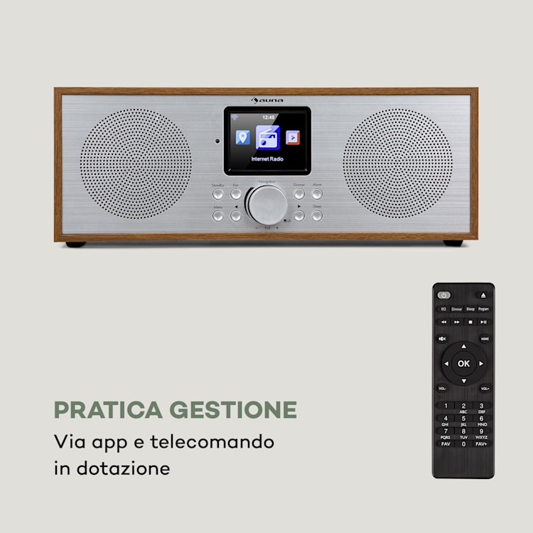 Silver Star Stereo Radio Web,DAB+/FM, WiFi, BT, DAB+/FM, quercia Quercia