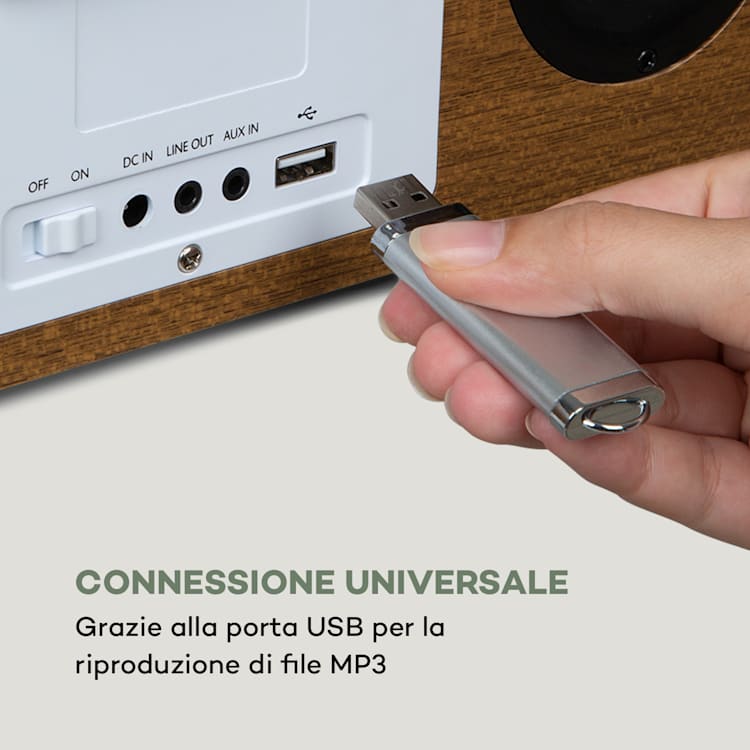 Silver Star Stereo Radio Web,DAB+/FM, WiFi, BT, DAB+/FM, quercia Quercia