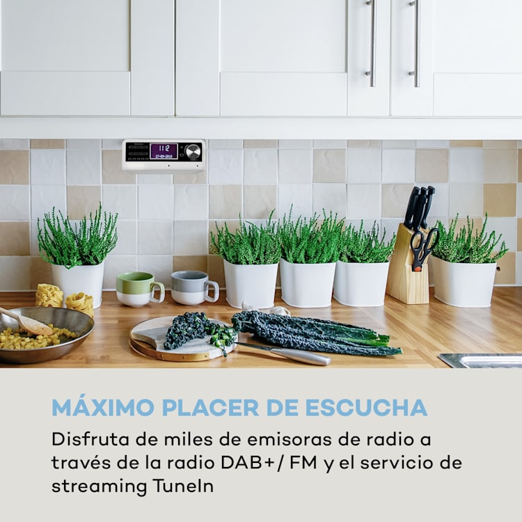Intelligence DAB+ Radio de cocina Control de voz Alexa Spotify BT Blanco Blanco