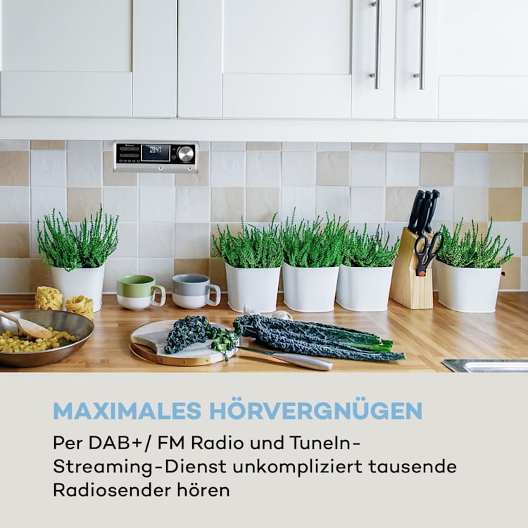 Intelligence DAB+ Küchenradio, Alexa-VoiceControl, Spotify, BT, silber Silber