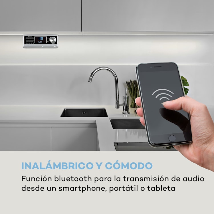Intelligence DAB+ Radio de cocina Control de voz Alexa Spotify BT Plateado Plata