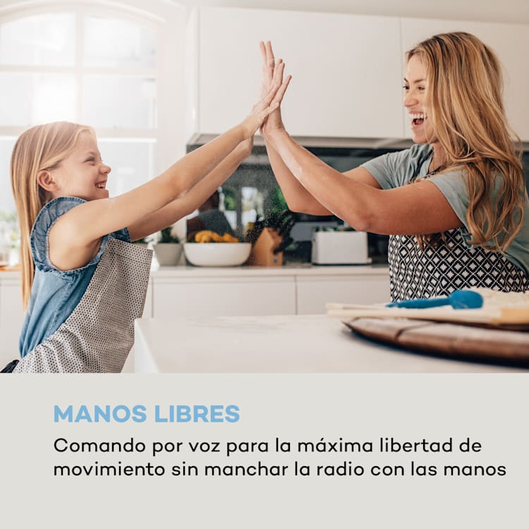 Intelligence DAB+ Radio de cocina Control de voz Alexa Spotify BT Plateado Plata