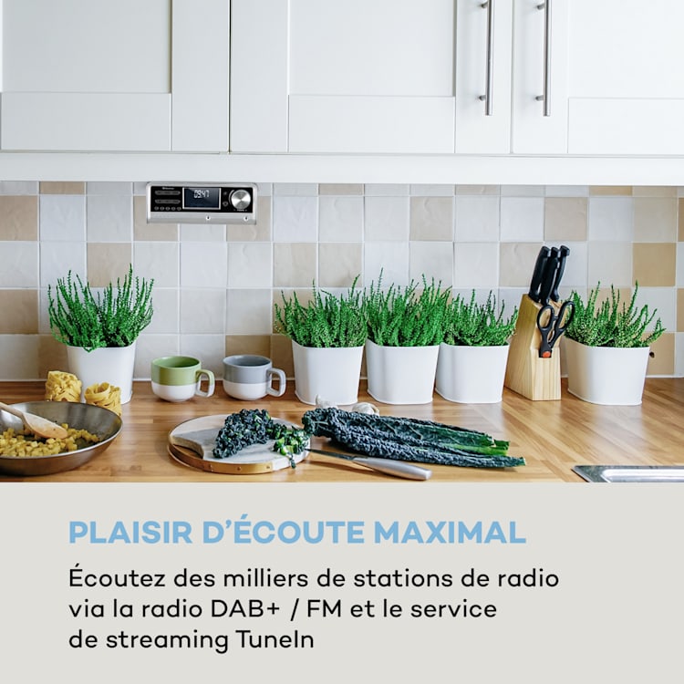 Intelligence Radio de cuisine DAB+, Alexa VoiceControl, Spotify, Bluetooth - argent Argent