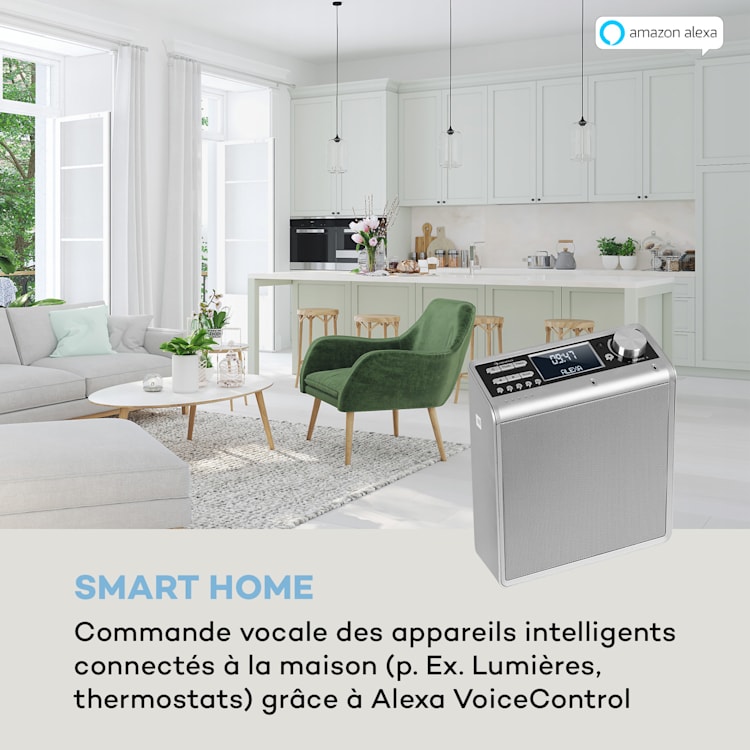 Intelligence Radio de cuisine DAB+, Alexa VoiceControl, Spotify, Bluetooth - argent Argent