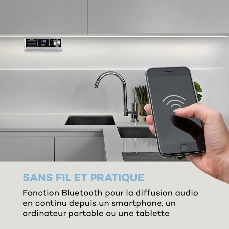 Intelligence Radio de cuisine DAB+, Alexa VoiceControl, Spotify, Bluetooth - argent Argent