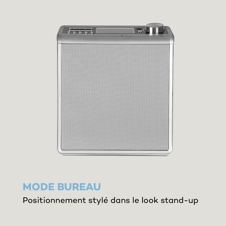 Intelligence Radio de cuisine DAB+, Alexa VoiceControl, Spotify, Bluetooth - argent Argent
