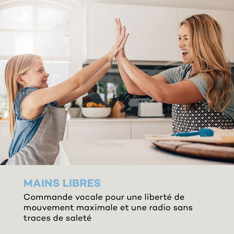Intelligence Radio de cuisine DAB+, Alexa VoiceControl, Spotify, Bluetooth - argent Argent