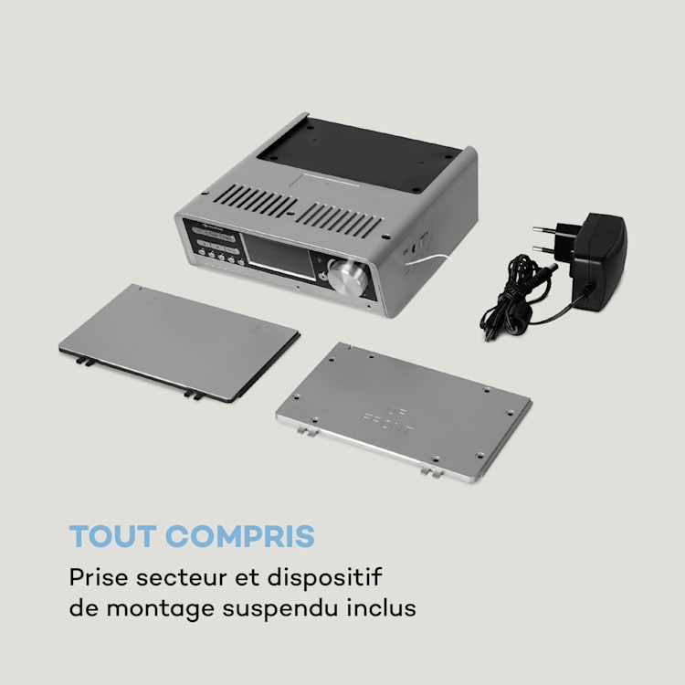 Intelligence Radio de cuisine DAB+, Alexa VoiceControl, Spotify, Bluetooth - argent Argent