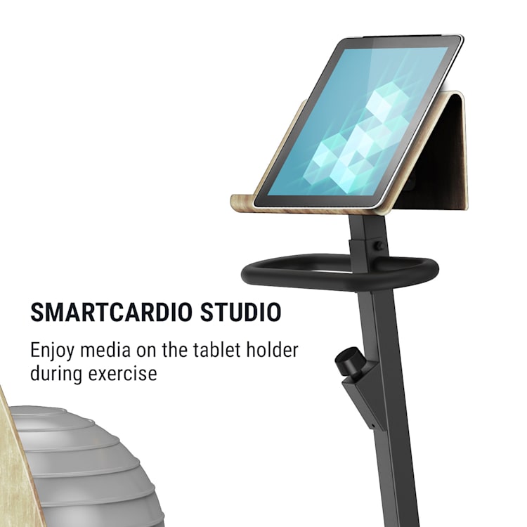 Roomik Cycle Bicicleta ergométrica 8kg pedal de peso suporte para tablet bola de ginástica
