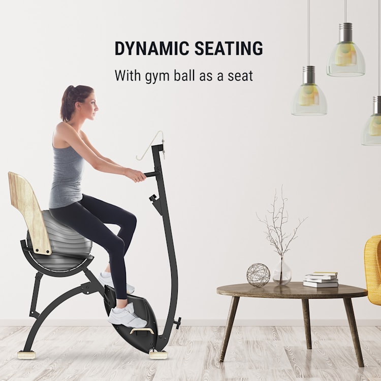 Roomik Cycle Bicicleta ergométrica 8kg pedal de peso suporte para tablet bola de ginástica