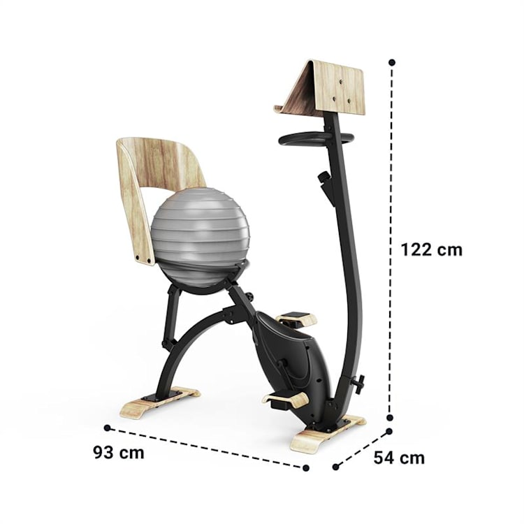 Roomik Cycle Bicicleta ergométrica 8kg pedal de peso suporte para tablet bola de ginástica