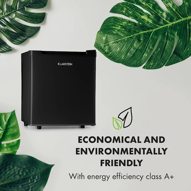 Silent Cool Refrigerator 30l Arctic-Fox Cooling 23 dB(A) Black