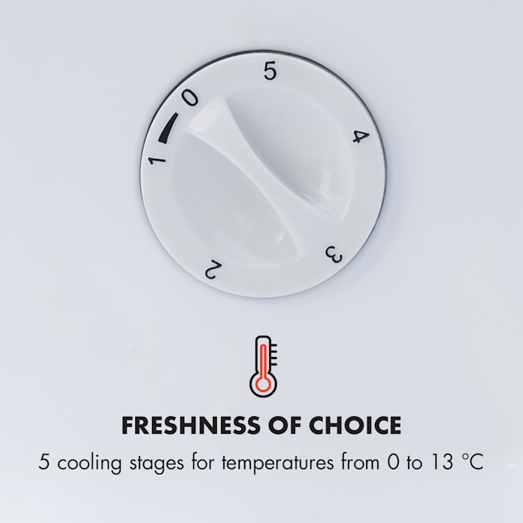 Beersafe L Crystal White, lodówka na napoje, klasa energetyczna E, LED, 2 kratki metalowe, szklane drzwi 47 Ltr | Biały