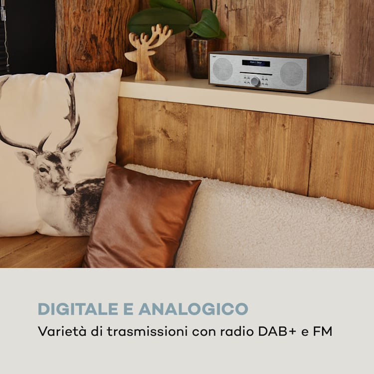 Silver Star CD-DAB - Lettore CD slot-in, max. 2 x 20 W, DAB+, BT, alluminio, marrone Olmo
