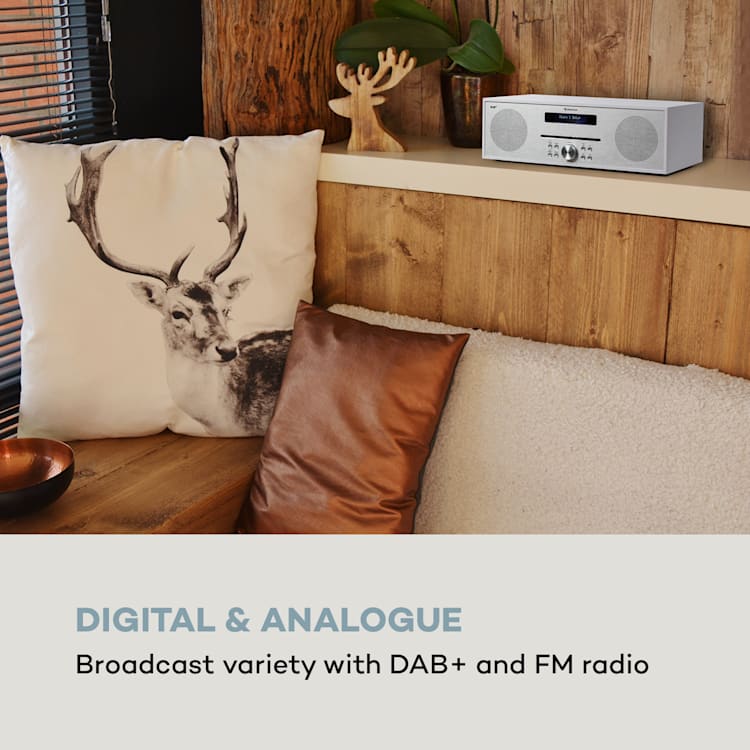 Silver Star CD-DAB 2x20W max. Slot-In CD-Player DAB+ BT Alu weiß