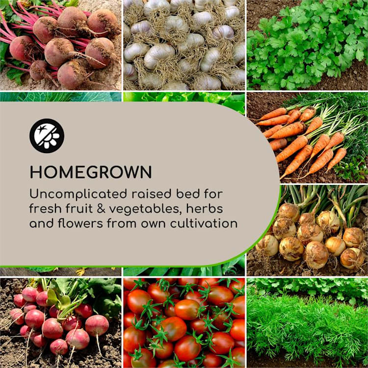 Mammutgrow Hochbeet 76 x 65 x 37 cm UV- und Frostschutz anthrazit Anthrazit