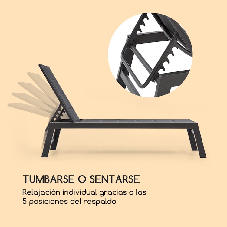 Renazzo Lounge tumbona 70/30 PVC/PE Aluminio 6 niveles Gris oscuro gris piedra