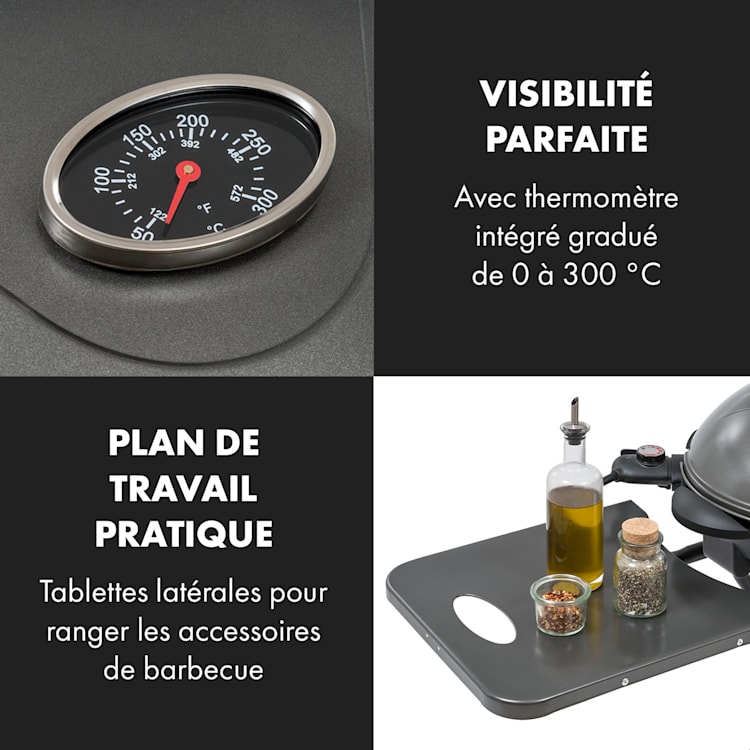 Tafelspitz Barbecue électrique pliable 2000/2400 W revêtement antiadhésif