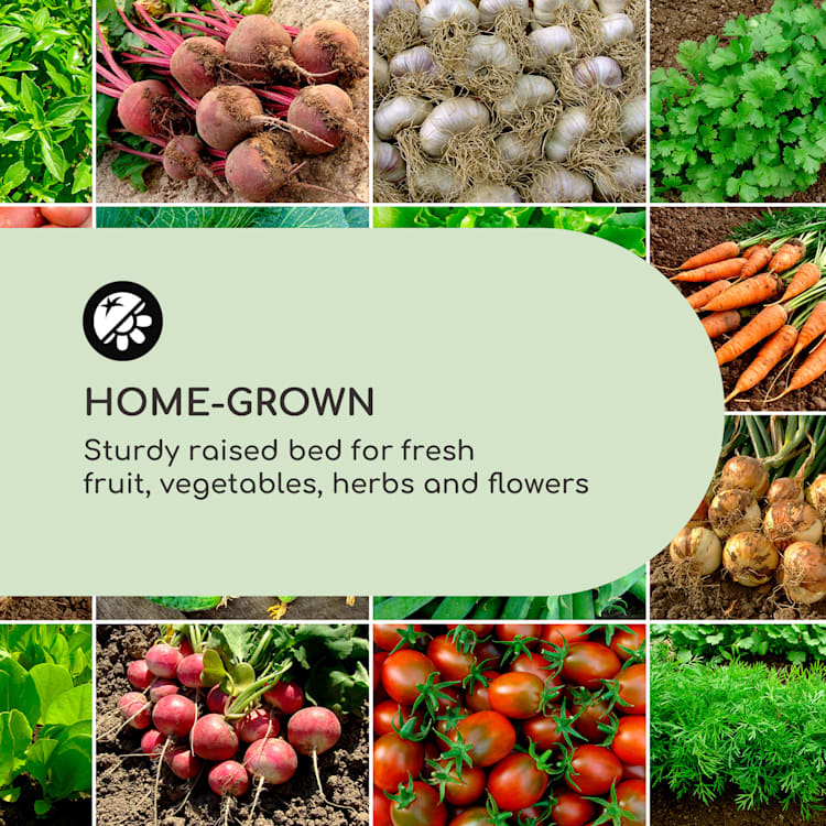 Altiplano Cubic Hochbeet 100 x 100 x 50 Kiefer Gartenvlies ErgoGrow