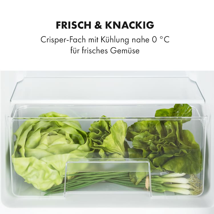 Big Daddy Cool Kühl-Gefrierkombination 61/25 Liter 2 Ebenen Edelstahl 90 Ltr | Silber