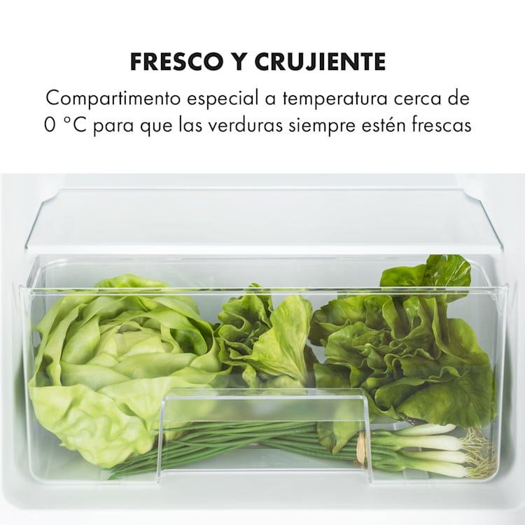 Big Daddy Cool Refrigerador con congelador 61/25 litros 2 niveles Acero inoxidable