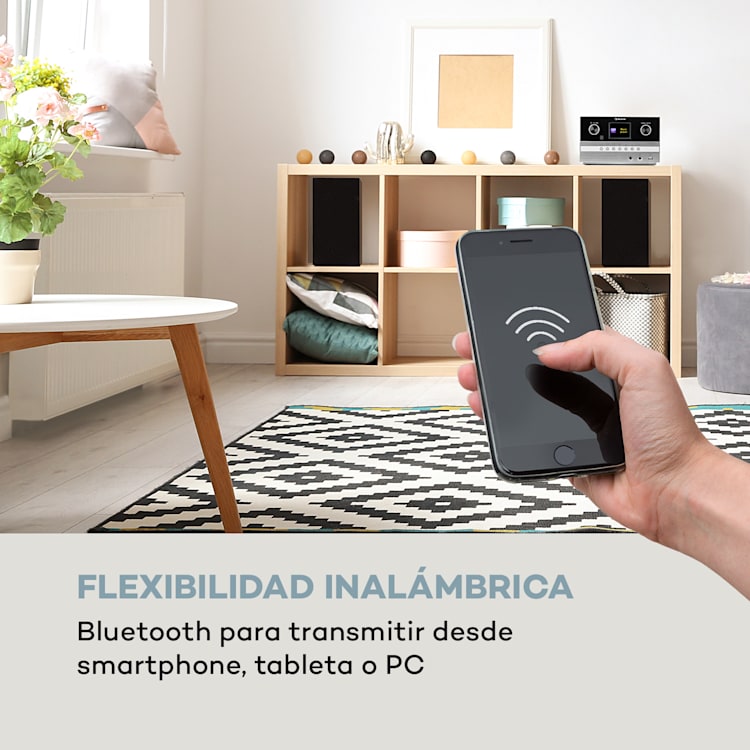 Connect System S Equipo estéreo + Altavoces 20 W máx. Internet/DAB+ Plateado Plata