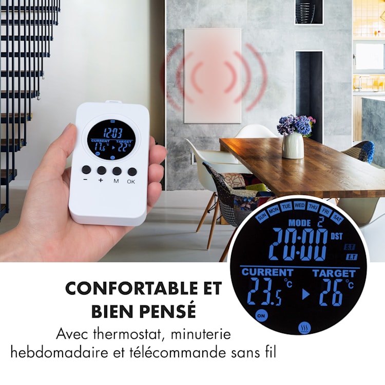 Wonderwall Air 60 radiateur infrarouge 101 x 60 cm 600 W Installation murale Télécommande 101 x 60 cm