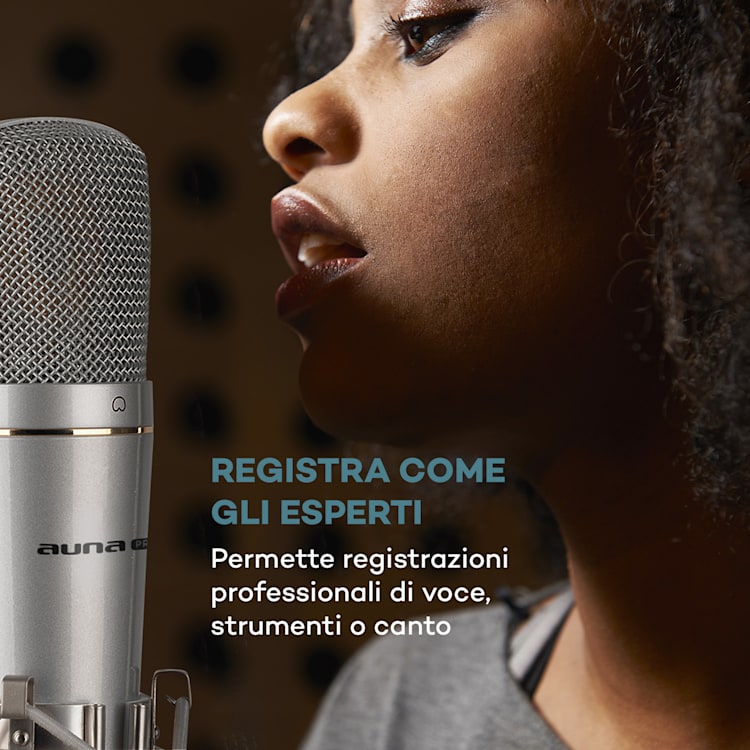 MIC-920 USB microfono a condensatore USB uscita cuffie Plug & Play argento Argento