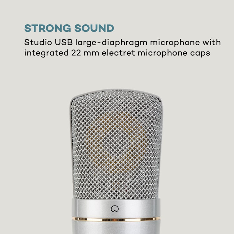 MIC-920 USB microfono a condensatore USB uscita cuffie Plug & Play argento Argento