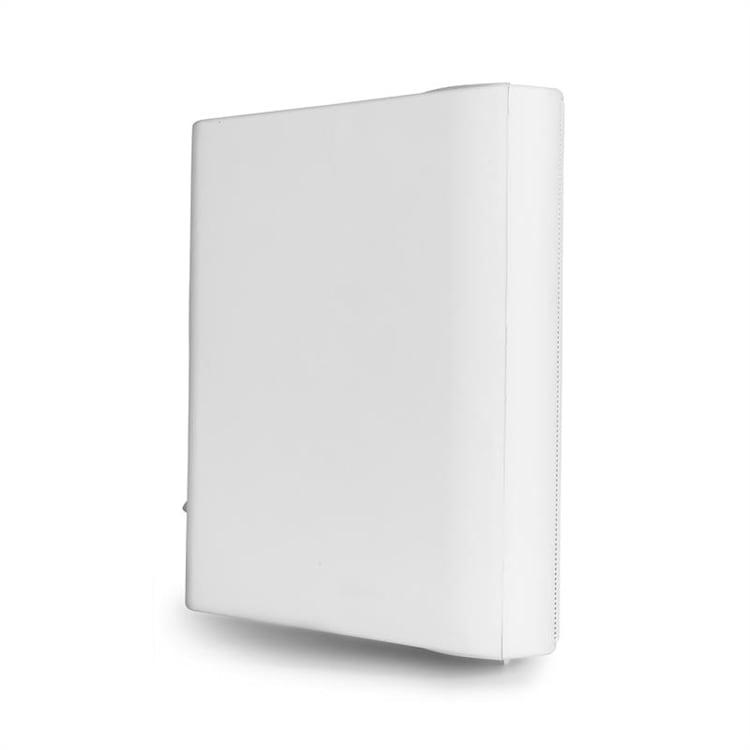 BGB50 luidsprekerset 100W peak 30W RMS wit
