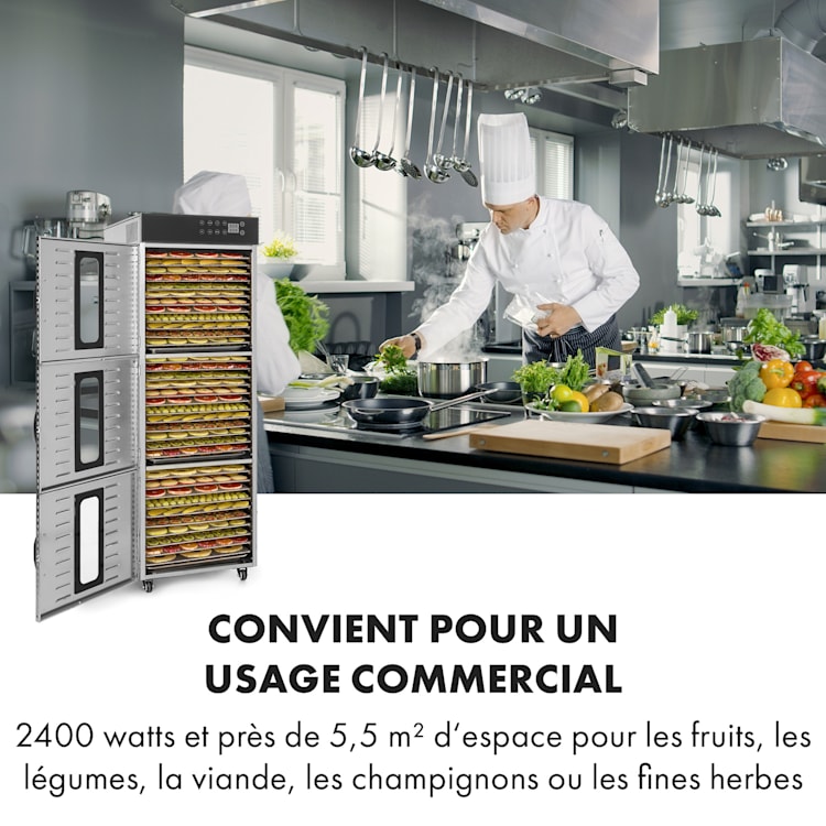 Master Jerky 550 Déshydrateur alimentaire 2400 W 40-90 °C inox argent 36 niveaux