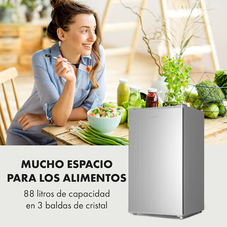 Hudson Frigorífico de 88 litros con compartimento Crisper y compresor Plata