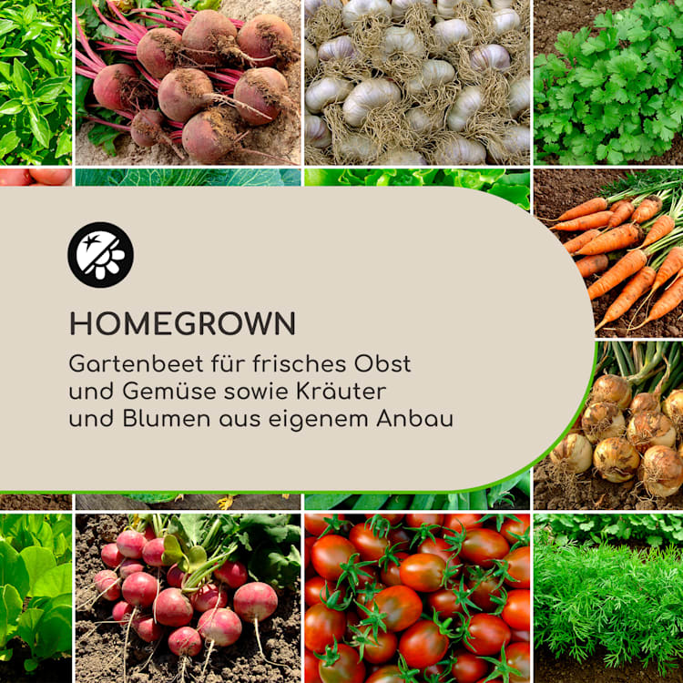 Nova Grow Gartenbeet 150 x 91 x 100 cm WPC Holzoptik weiß 150 x 91 x 100 cm
