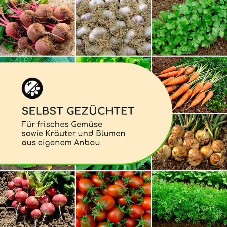 Highgrow Deluxe Hochbeet 100 x 76 x 100 cm verzinkter Stahl
