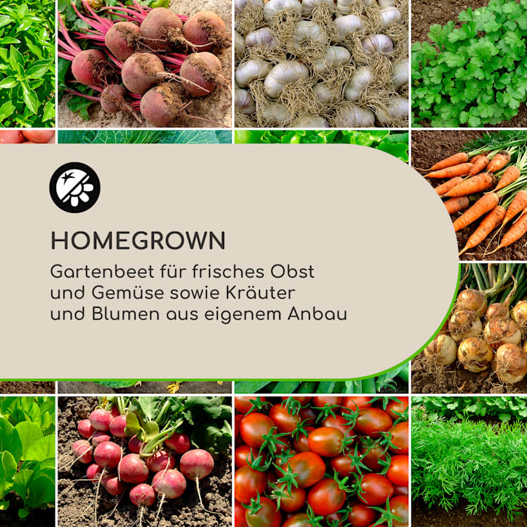 Nova Grow Gartenbeet 195 x 91 x 100 cm WPC Holzoptik weiß 195 x 91 x 100 cm