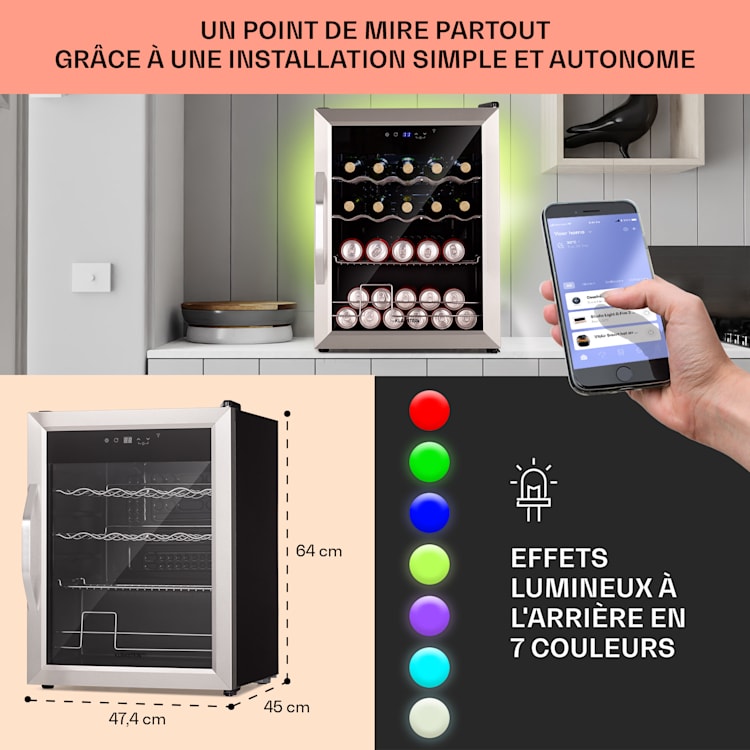 Coachella 60 Réfrigérateur 60 litres fonction WiFi rétro-éclairage 60 L | Acier Inoxydable