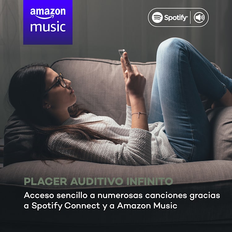 Connect Link Radio inteligente IR/DAB+/FM Spotify BT Pantalla HCC de 2,4" Madera Marrón