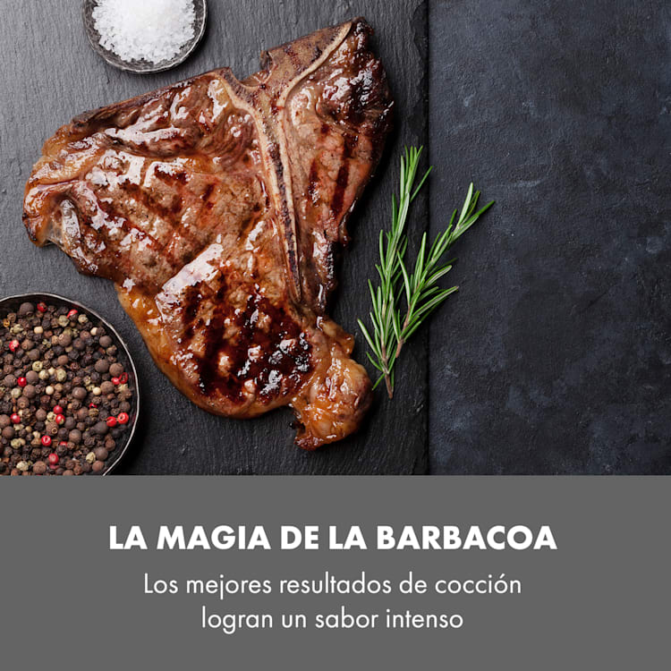 Steakreaktor Core Asador de alta temperatura 2100W 800°C Termómetro de punción