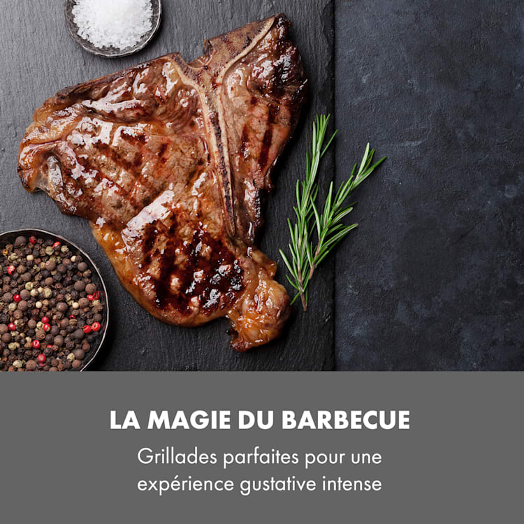 Steakreaktor Core Barbecue haute température 2100W 800 °C thermomètre