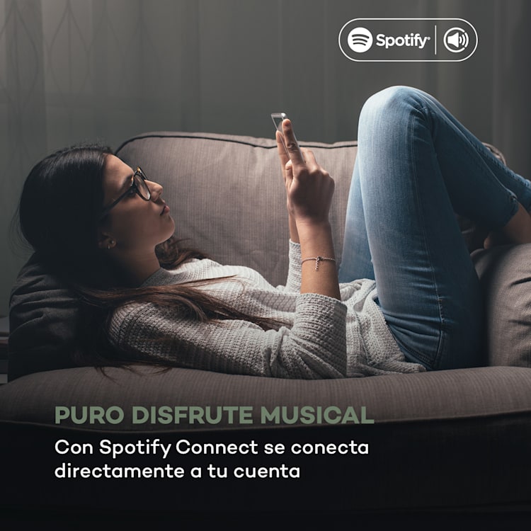 Sintonizador digital HiFi Spotify Connect controlada por aplicación color negro