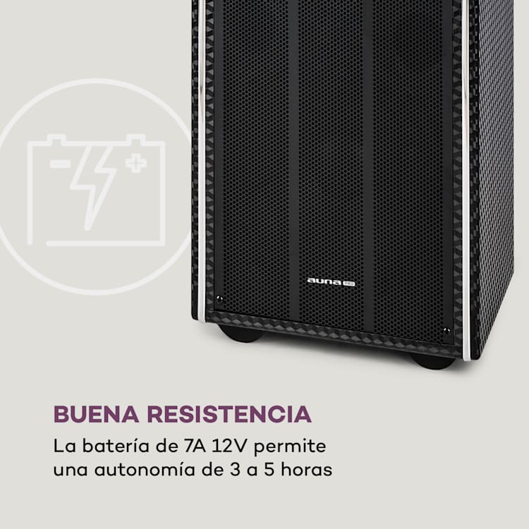 DisGo Box 2100 DVD Equipo PA móvil 300 W máx. pantalla TFT de 9" DVD