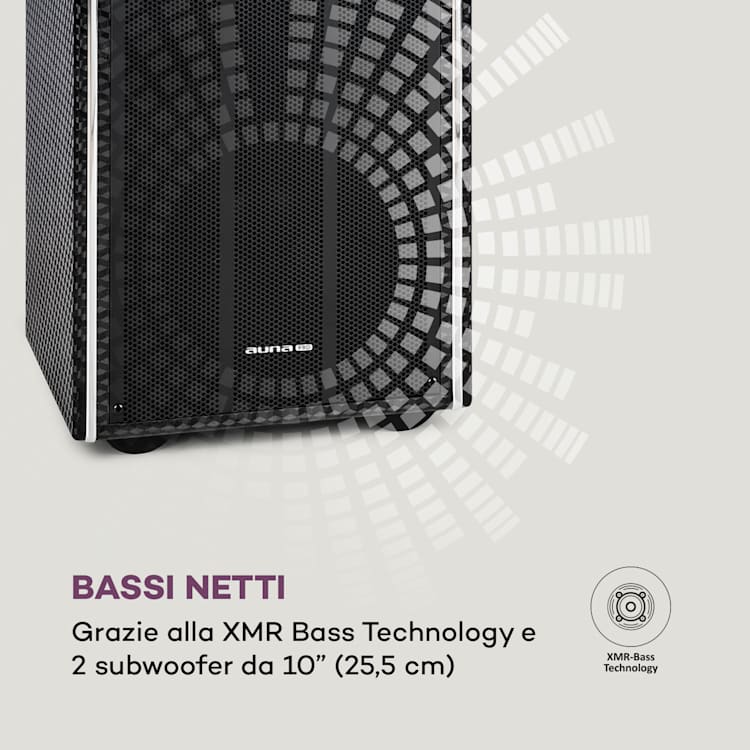 DisGo Box 2100 DVD Impianto PA Portatile, 300W max., Display TFT 9", DVD