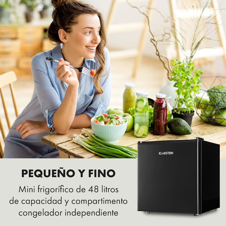 Obsidian Frigorífico de 46 litros con compartimento para verduras 48 L