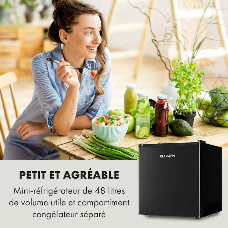 Obsidian Réfrigérateur 46 litres Bac à légumes 48 L