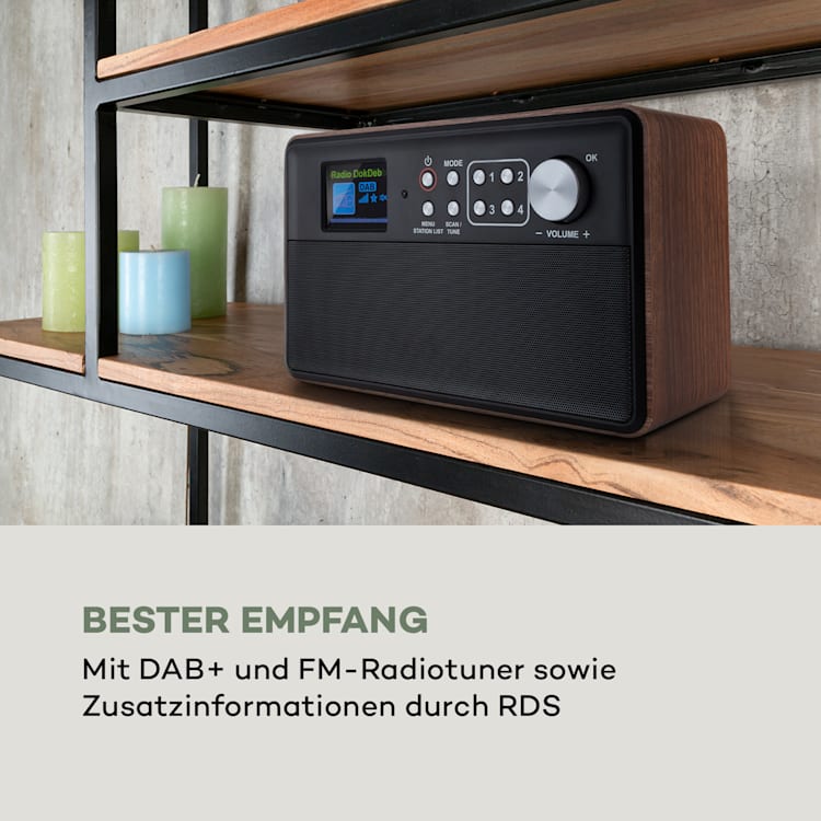 Nestor DAB+ Radio DAB+/FM 2 Betriebsmodi 2,4" TFT-Farbdisplay Braun