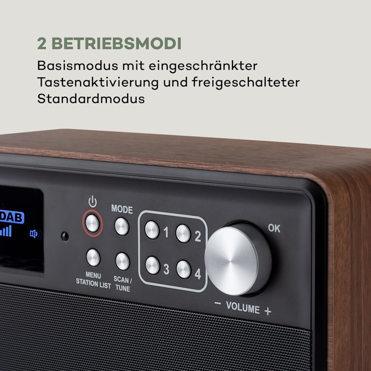 Nestor DAB+ Radio DAB+/FM 2 Betriebsmodi 2,4" TFT-Farbdisplay Braun