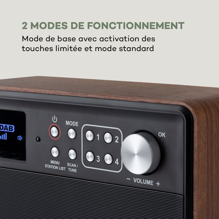 Nestor DAB+ radio DAB+/FM 2 bedrijfsmodi 2,4" TFT kleurendisplay bruin Bruin