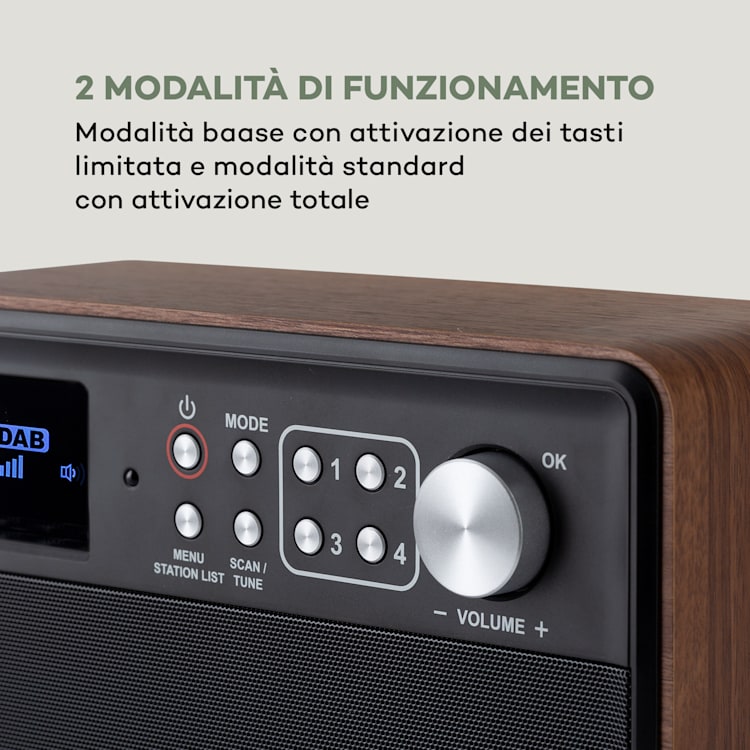Nestor DAB+, Radio DAB+/FM, 2 Modalità, Schermo a Colori TFT da 2,4", marrone Marrone