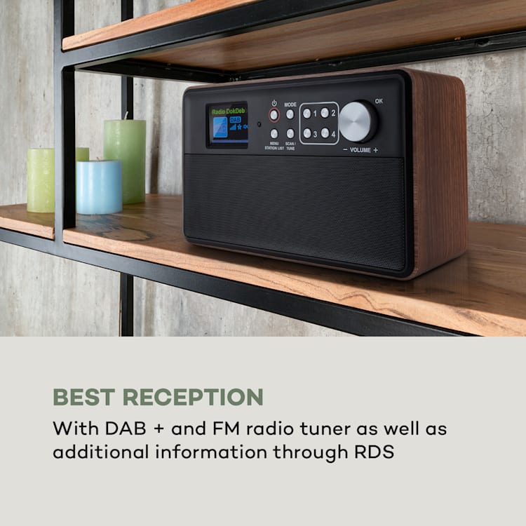 Nestor, radio DAB+/FM, 2 tryby pracy, kolorowy wyświetlacz TFT 2,4", brązowe