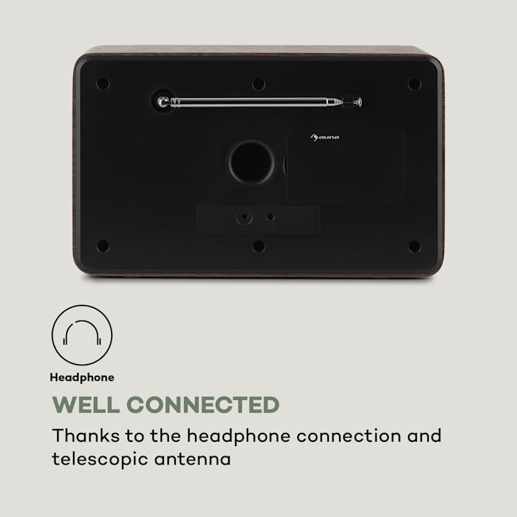 Nestor, radio DAB+/FM, 2 tryby pracy, kolorowy wyświetlacz TFT 2,4", brązowe